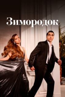 Постер: Зимородок