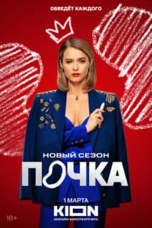 Постер: Почка