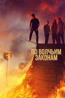Постер: По волчьим законам