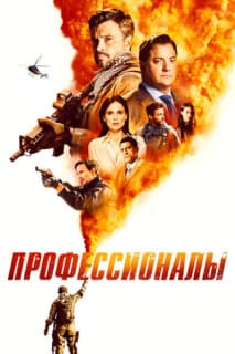 Постер: Профессионалы