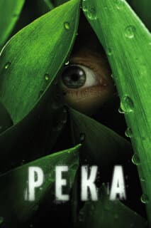 Постер: Река