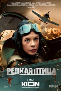 Постер: Редкая птица