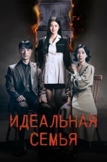 Постер: Идеальная семья