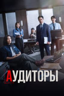 Постер: Аудиторы