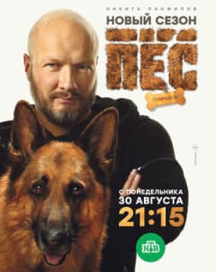 Постер: Пес