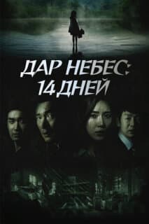 Постер: Дар небес: 14 дней
