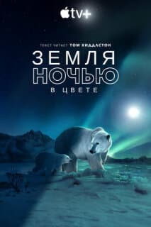 Постер: Земля ночью в цвете