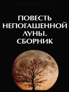 Повесть непогашенной луны