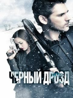 Чёрный дрозд
