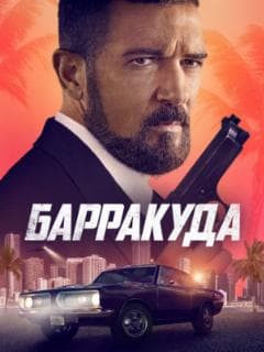 Барракуда
