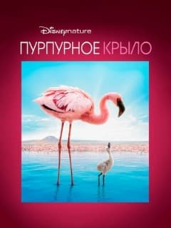 Пурпурное крыло