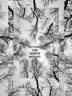 Beyond the North Woods