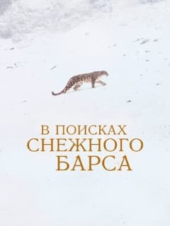 В поисках снежного барса