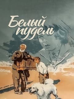 Белый пудель
