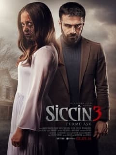 Сиджин 3