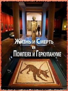 Жизнь и смерть в Помпеях и Геркулануме