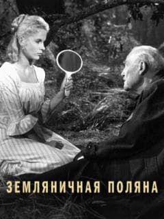 Земляничная поляна