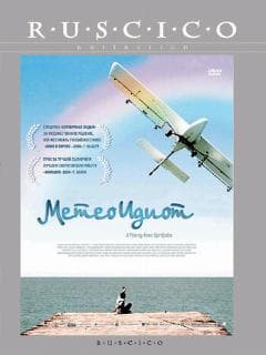 Метеоидиот