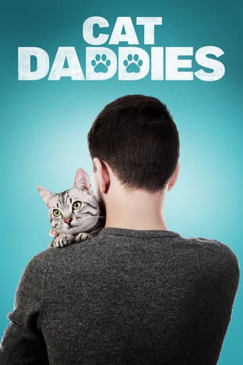 Котики