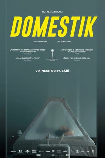 Домашний режим