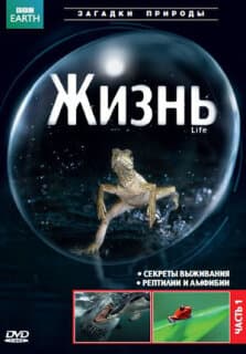 Постер: BBC: Жизнь