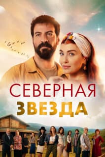 Постер: Полярная звезда