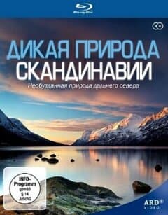 Постер: Дикая природа Скандинавии