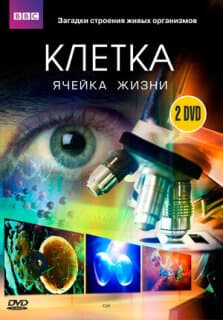 Постер: BBC: Клетка