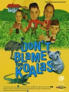 Постер: Коалы не виноваты