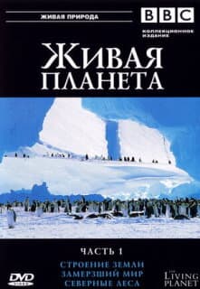 Постер: BBC: Живая планета
