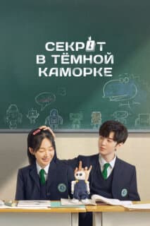 Постер: Секрет в тёмной каморке
