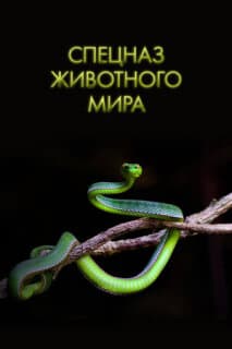 Постер: Спецназ животного мира