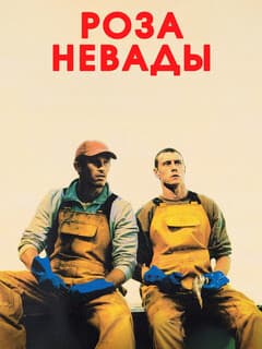 Роза Невады