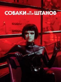 Собаки не носят штанов