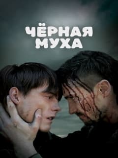 Черная муха