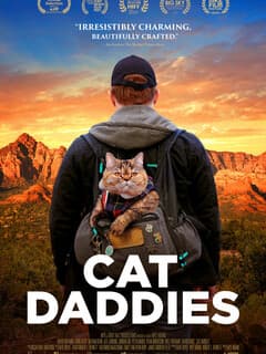 Котики