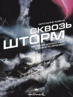 Сквозь шторм