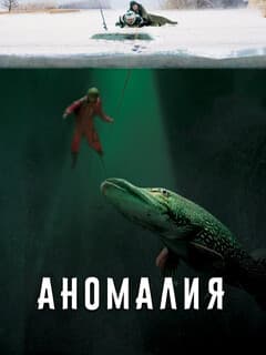 Аномалия