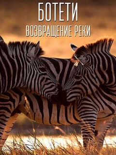 Ботети — возвращение реки