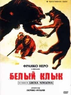 Белый клык