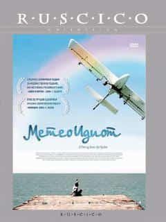 Метеоидиот