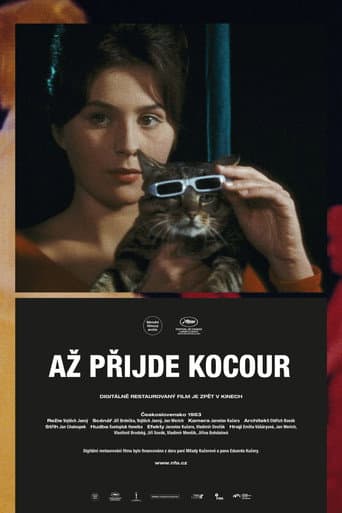 Вот придет кот