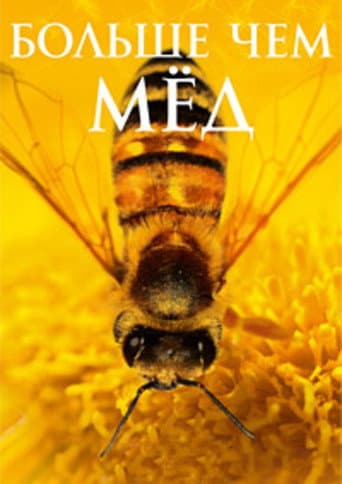Больше чем мед